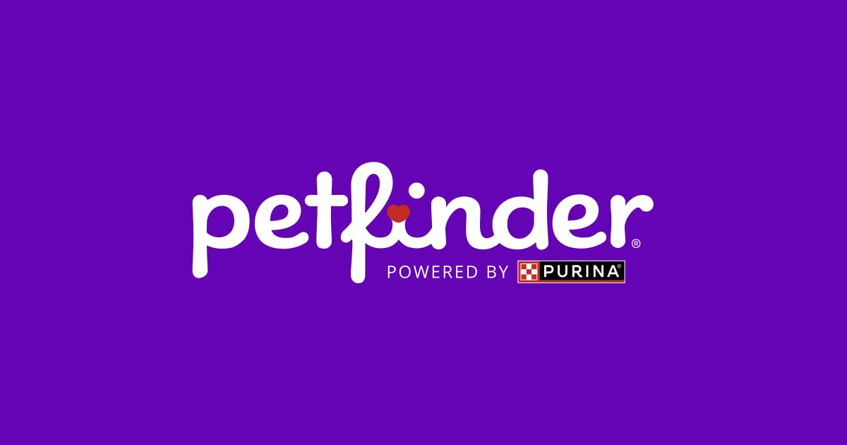 petfinder